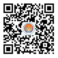 操操操屄网站